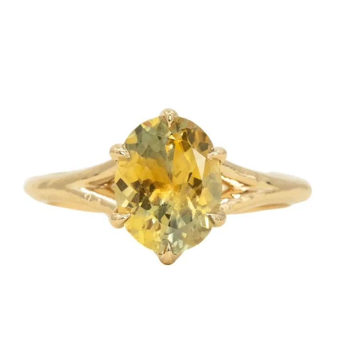 245ct Multicolor Sunrise Oval Montana Sapphire Six Prong Split Shank Ring in 14k Yellow Gold Anueva Jewelry Rings